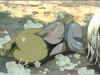 mutio_Q.jpg (157868 bytes)